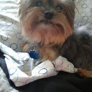 cutiepie051367 avatar