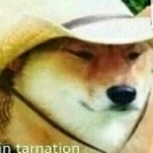 kneekneeson666 avatar