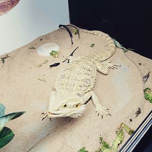 edwardmcgibney1 avatar