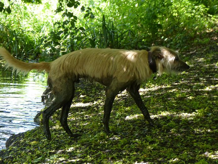 Somebody Just Found The Smelliest Part Of The Local Canal...