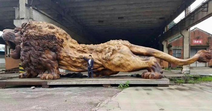 Giant Lion Carved From Single Tree By 20 People In 3 Years Becomes The World’s Largest Redwood Sculpture