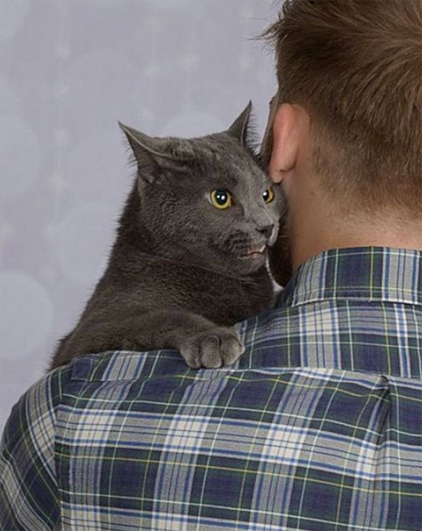 Guy Gets Professional Pictures With His Cat, And They End Up Looking Like Engagement Photos