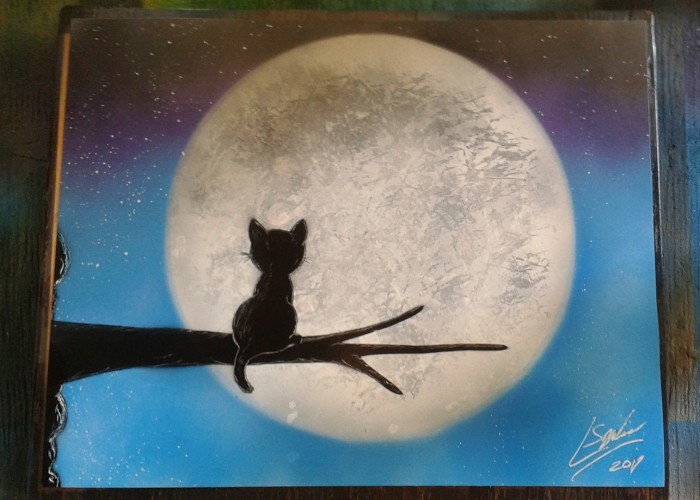 A Cute Little Kitty Watching The Moonset