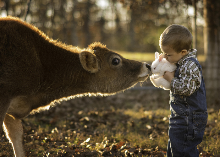 I Photograph My Kids Growing Up On A Farm