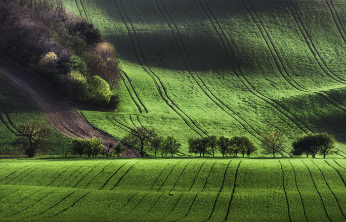I Captured The Most Beautiful Places In South Moravian Region In Czech Republic