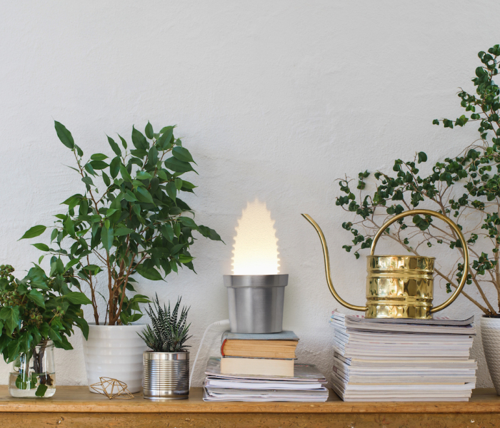 We Designed Wall Lamps That Turn Into Cactuses When Switched On