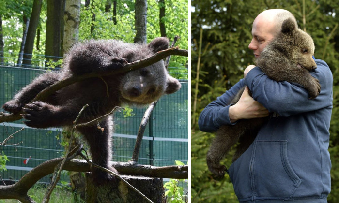 Story About Little Bear And People With Big Hearts