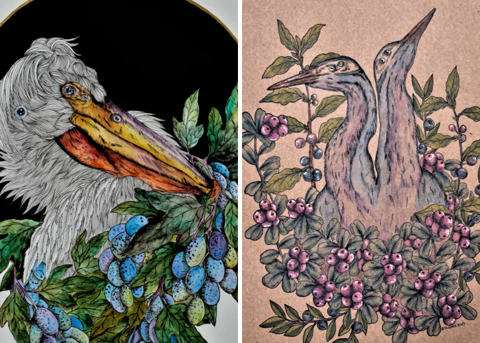 I Draw Animals With A Little Dose Of Magic