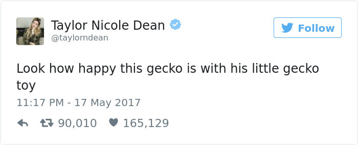 This Gecko Can't Stop Smiling When He's Around His Toy Gecko, And Their Pics Will Make Your Day This Gecko Can't Stop Smiling When He's Around His Toy Gecko, And Their Pics Will Make Your Day