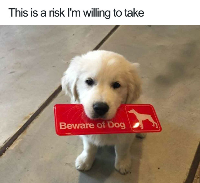 Beware Of Dog