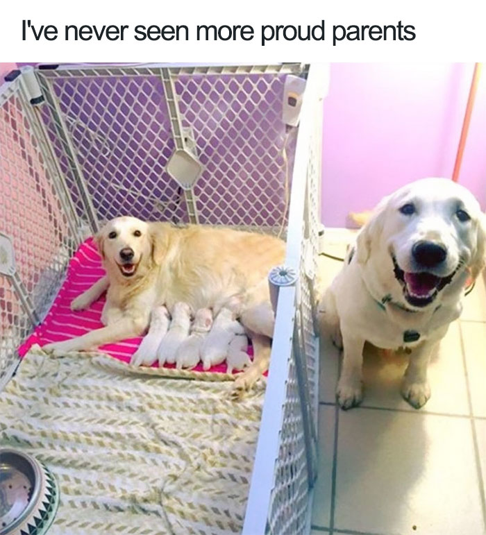 Proudest Parents