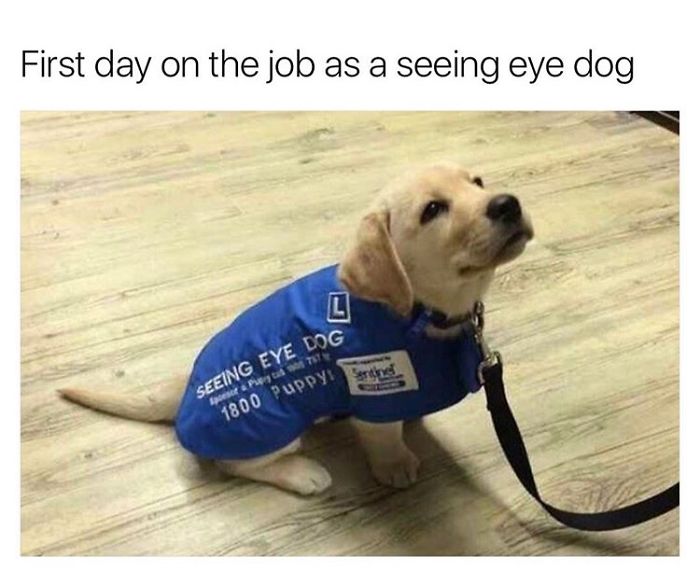 First Day On The Job