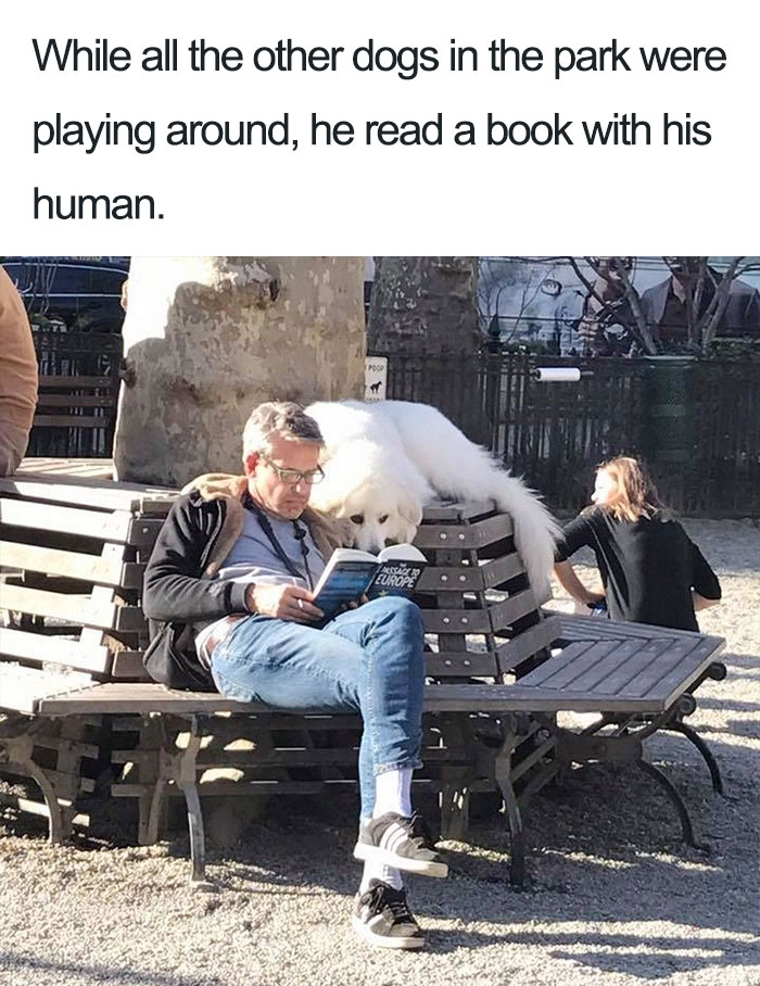 Reading Pals
