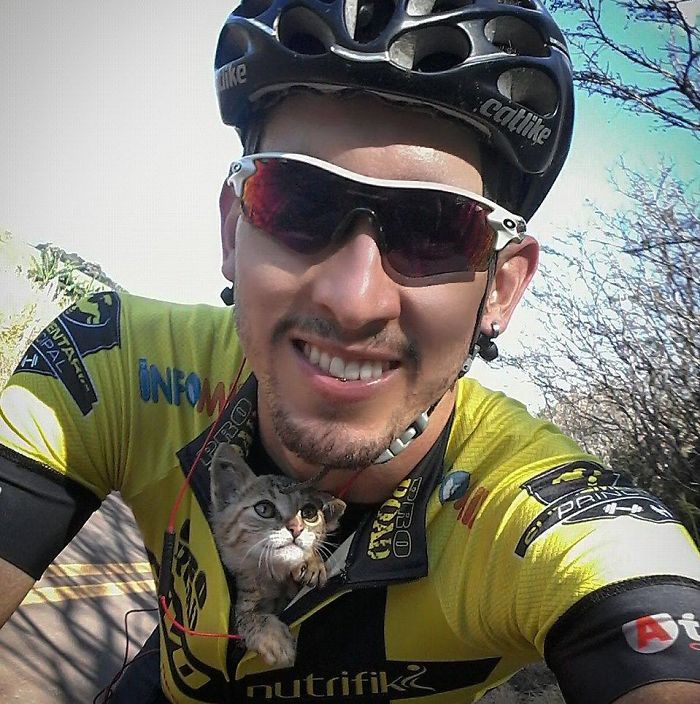 Cyclist Saves A Lost Kitten By Tucking Him In His Shirt, The Cat Can't Stop Kissing Him Cyclist Saves A Lost Kitten By Tucking Him In His Shirt, The Cat Can't Stop Kissing Him
