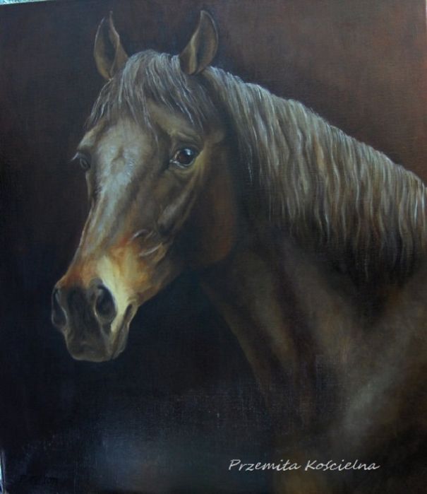 My Equestrian Art