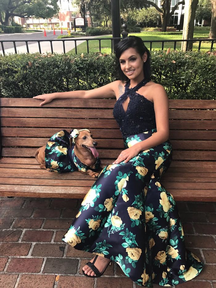 18-Year-Old Makes Her Dachshund A Matching Prom Dress, Wins The Internet 18-Year-Old Makes Her Dachshund A Matching Prom Dress, Wins The Internet