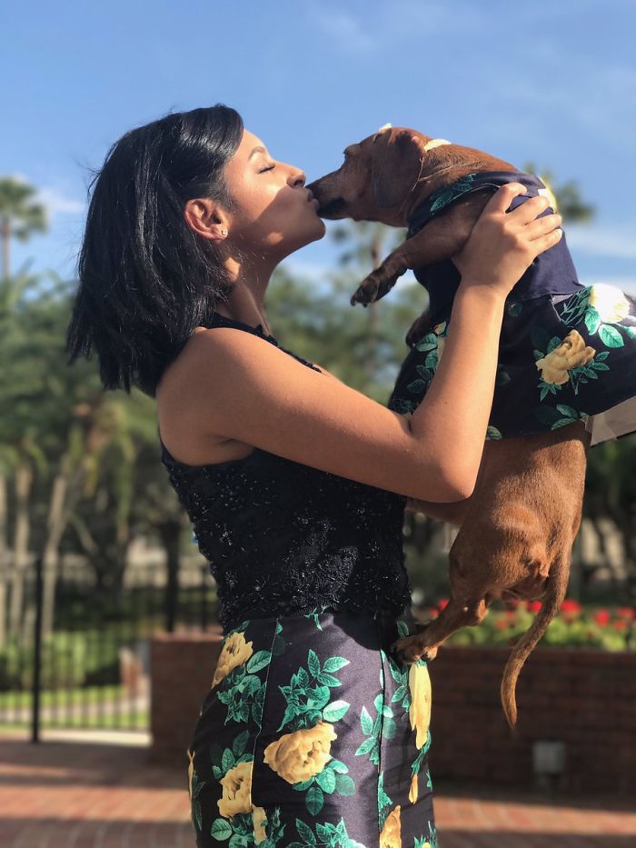 18-Year-Old Makes Her Dachshund A Matching Prom Dress, Wins The Internet 18-Year-Old Makes Her Dachshund A Matching Prom Dress, Wins The Internet