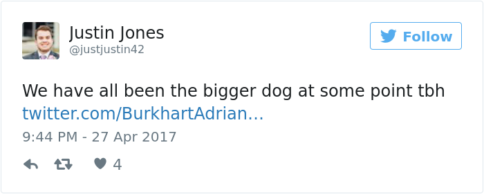 dog-climbs-big-friend-bella-hank-adriana-burkhart1 (2) dog-climbs-big-friend-bella-hank-adriana-burkhart1 (2)