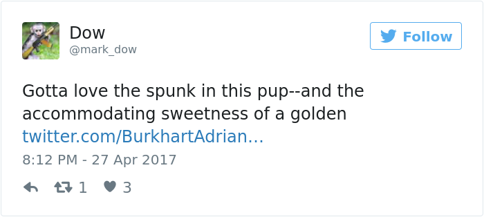 dog-climbs-big-friend-bella-hank-adriana-burkhart1 (4) dog-climbs-big-friend-bella-hank-adriana-burkhart1 (4)