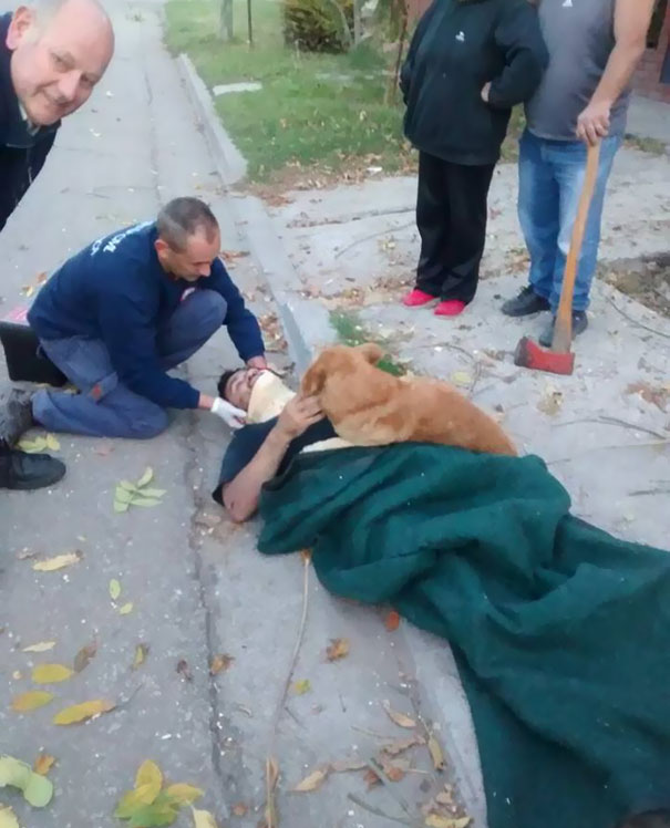 dog-refuses-leave-hugs-injured-owner-tony-argentina-2a