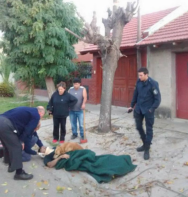 dog-refuses-leave-hugs-injured-owner-tony-argentina-3a