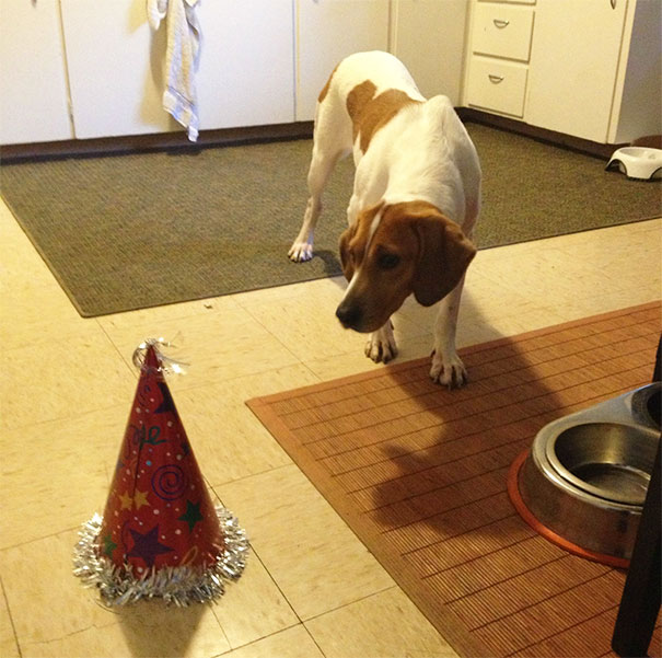 It's My Party And I'll Be Scared If I Want To