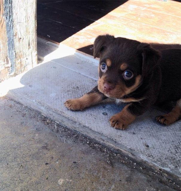 Scared To Come Outside