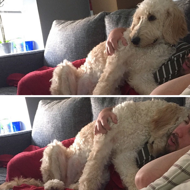 At Least I'm Not The Only One Who Is Afraid Of Zombie Movies