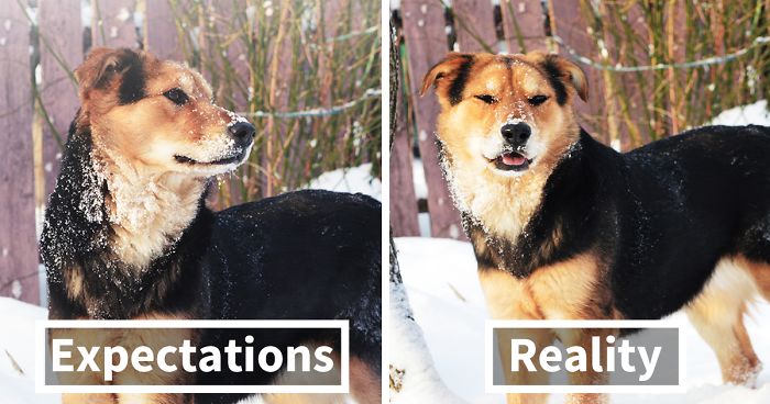 Expectations Vs. Reality: How You Imagine Your Photos To Look Like Versus How You Actually Look