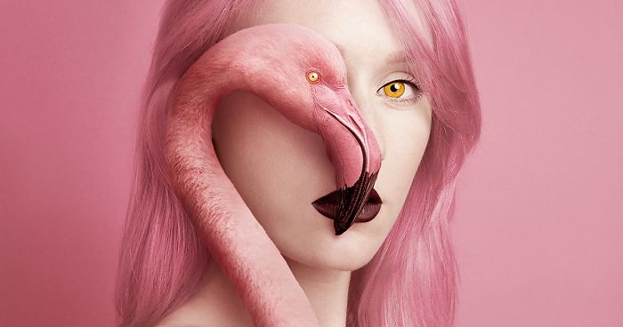 I Become One With Animals By Replacing My Eye With Theirs