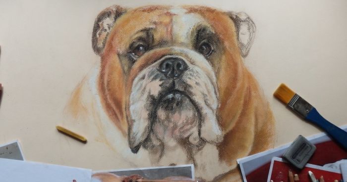 I Draw Portraits Of Dogs