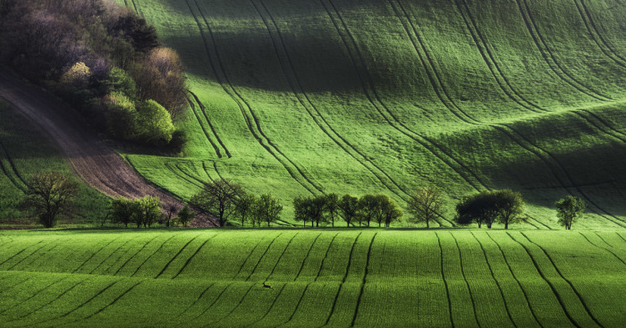 I Captured The Most Beautiful Places In South Moravian Region In Czech Republic