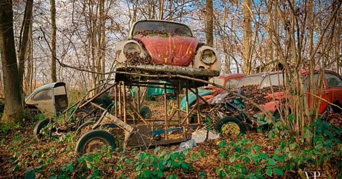I Photographed Old Cars Lost In The Woods
