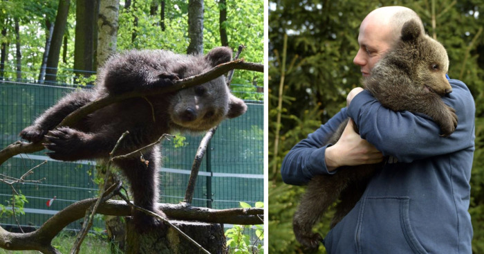 Story About Little Bear And People With Big Hearts