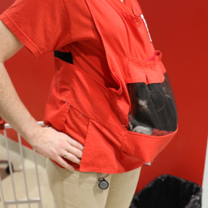 This Shelter Created 'Kitty Bjorn' To Help Feral Kittens Get Used To Their Humans