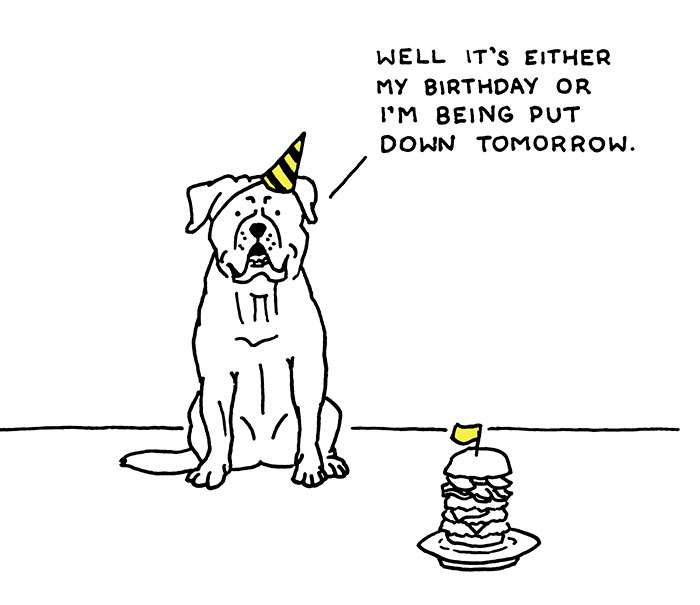 After My Anxiety Forced Me To Drop Out Of A Philosophy PhD I Started Drawing Dog Comics