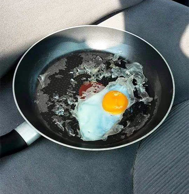 Guy Leaves Egg In Car During Hot Day To Show Why You Should Never Leave Your Dog There Guy Leaves Egg In Car During Hot Day To Show Why You Should Never Leave Your Dog There