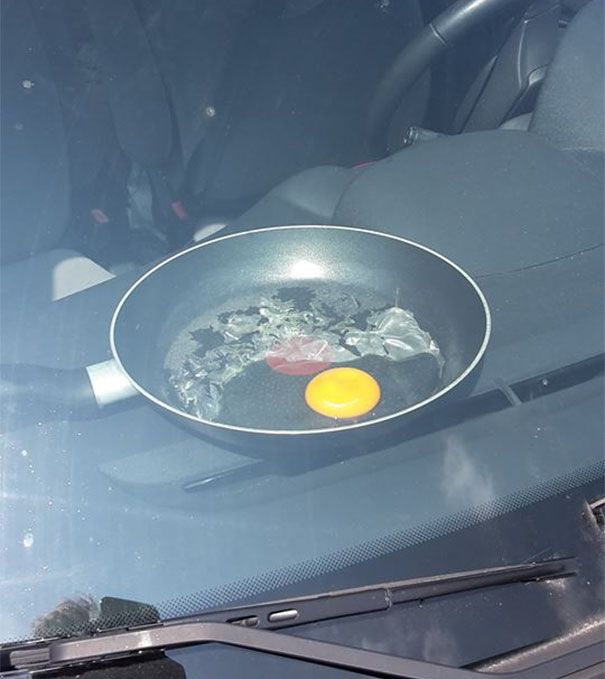 fried-egg-experiment-parked-car-dont-leave-dogs-hot-weather-6 fried-egg-experiment-parked-car-dont-leave-dogs-hot-weather-6