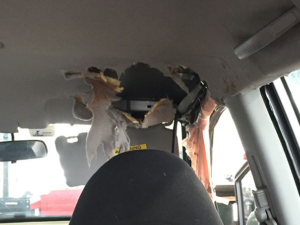 fried-egg-experiment-parked-car-dont-leave-dogs-hot-weather-9 fried-egg-experiment-parked-car-dont-leave-dogs-hot-weather-9