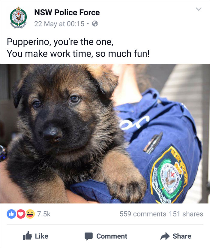 Nsw Police Post