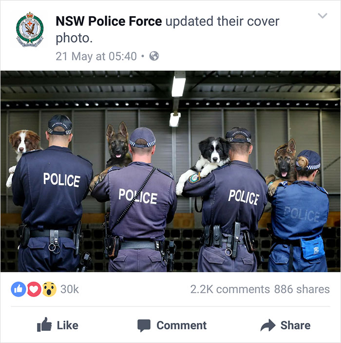 Nsw Police Post