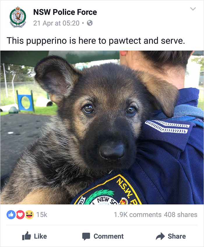 Nsw Police Post