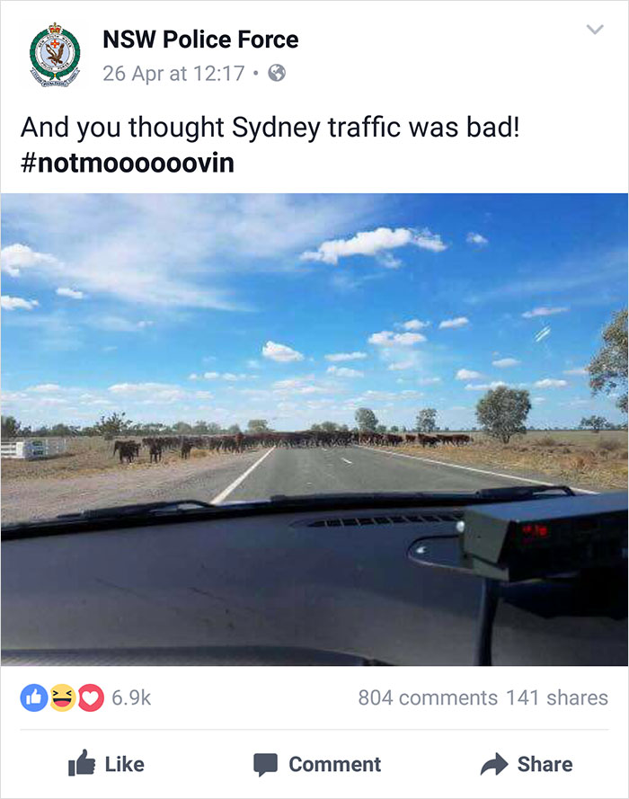 Nsw Police Post