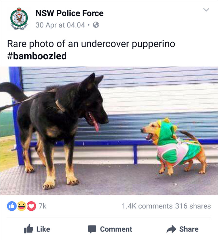 Nsw Police Post