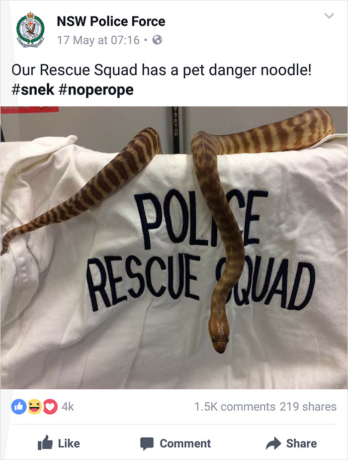 Nsw Police Post