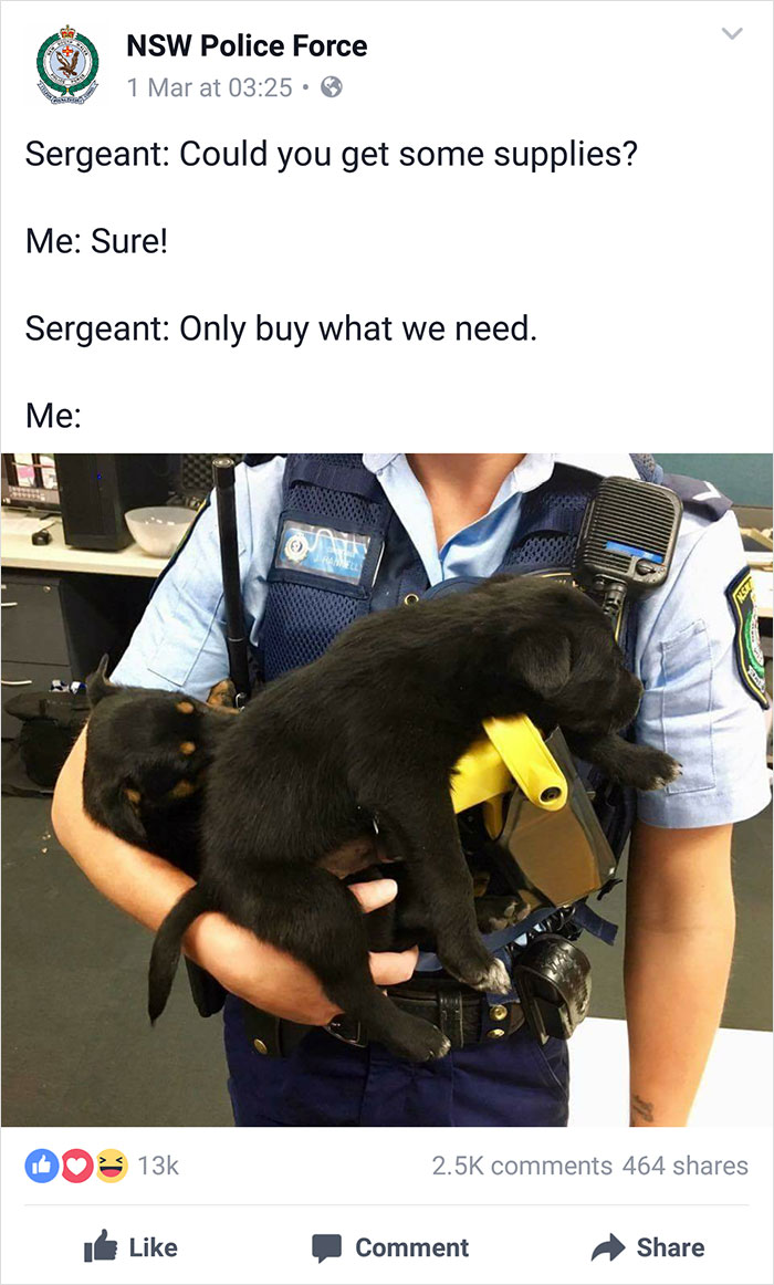 Nsw Police Post