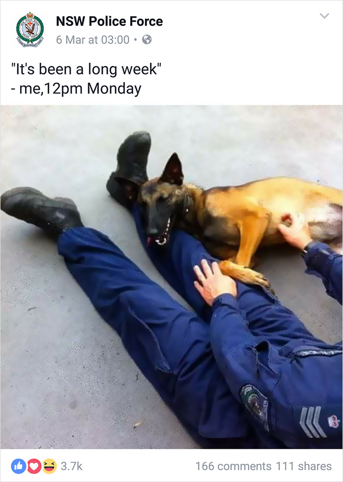 Nsw Police Post