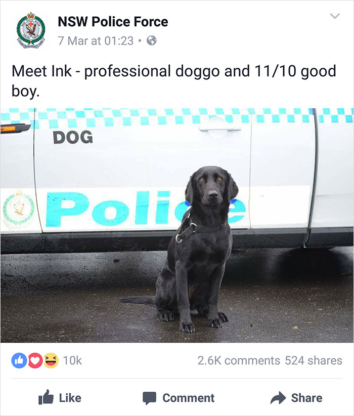 Nsw Police Post