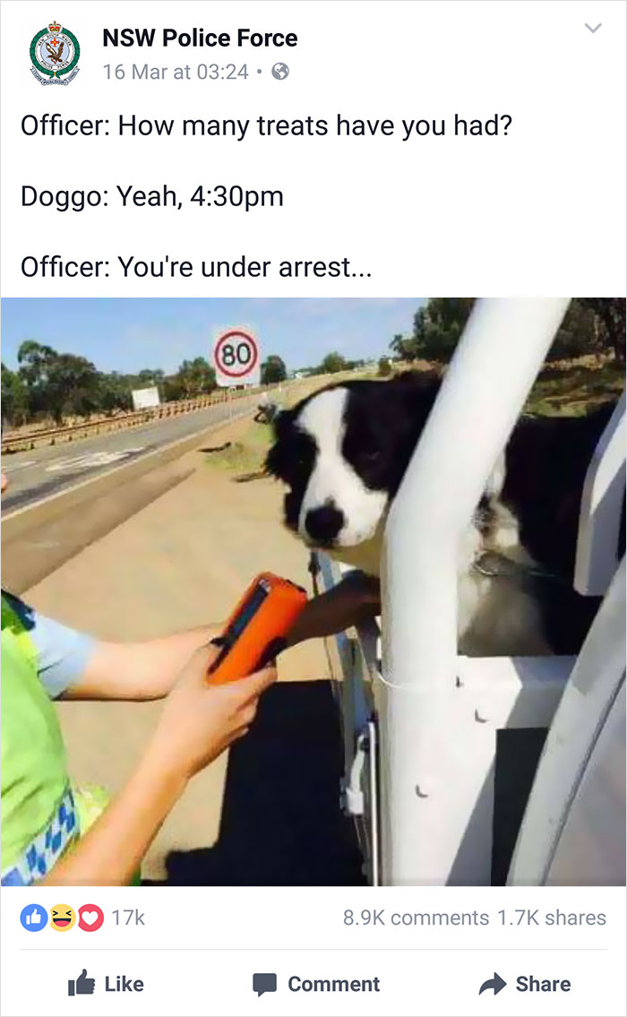 Nsw Police Post