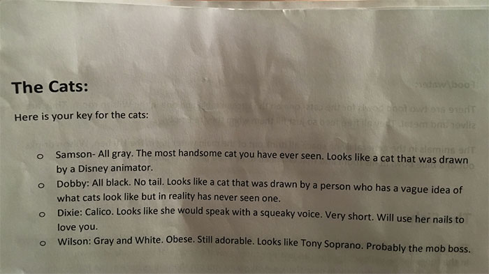 Cat-Sitter Shares The Note She Got From The Owner, And It's Hilarious Cat-Sitter Shares The Note She Got From The Owner, And It's Hilarious